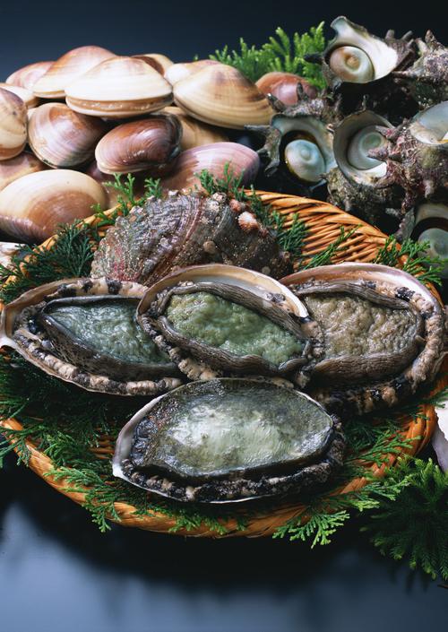海鲜贝壳图片 海鲜,贝类, _ 图片网